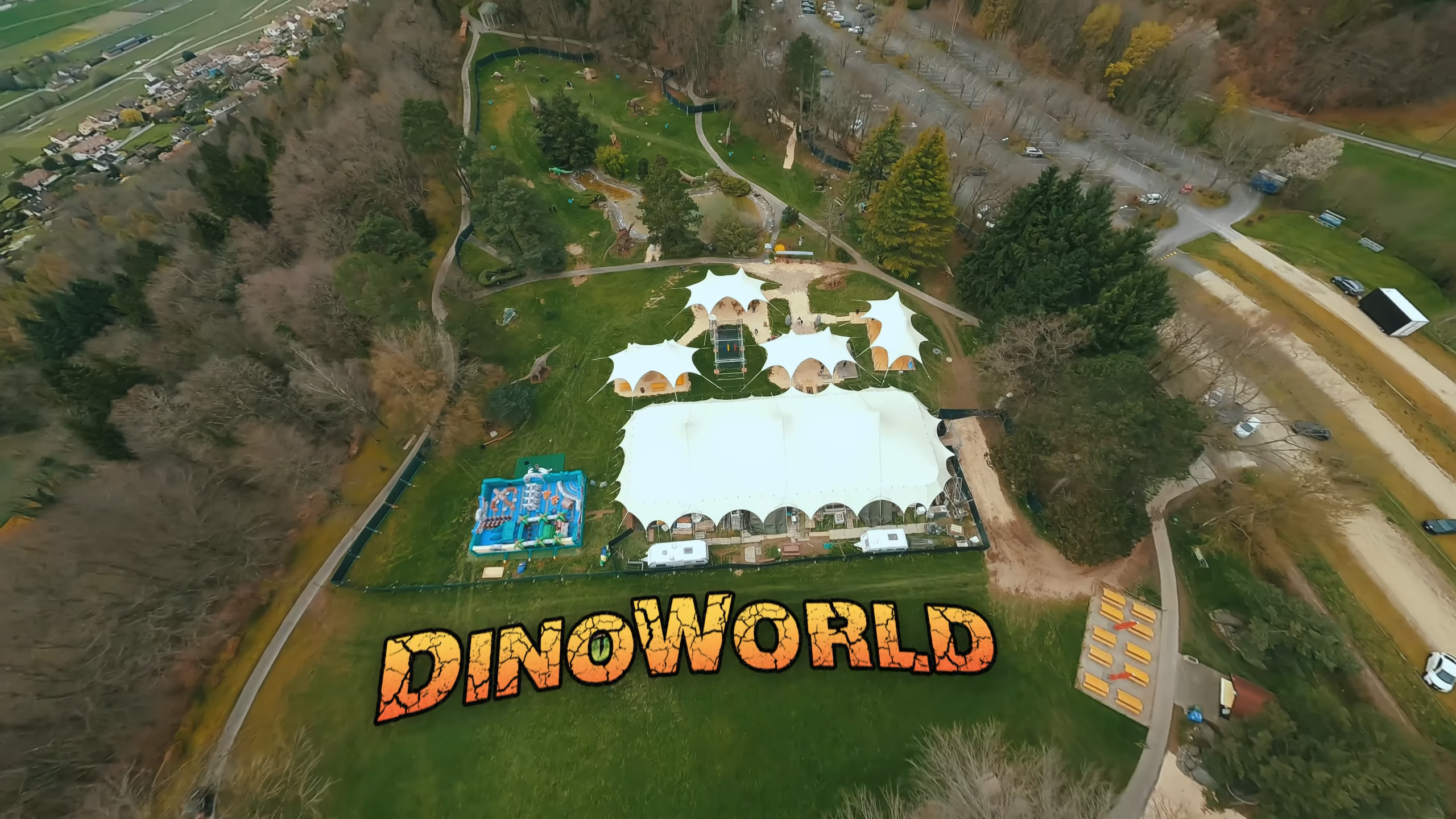 Une plongée dans l’univers des insectes