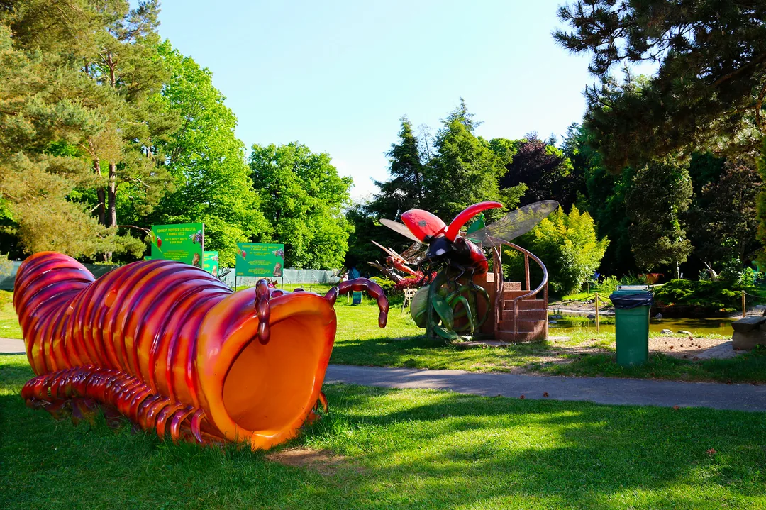 Rivière aux fossiles