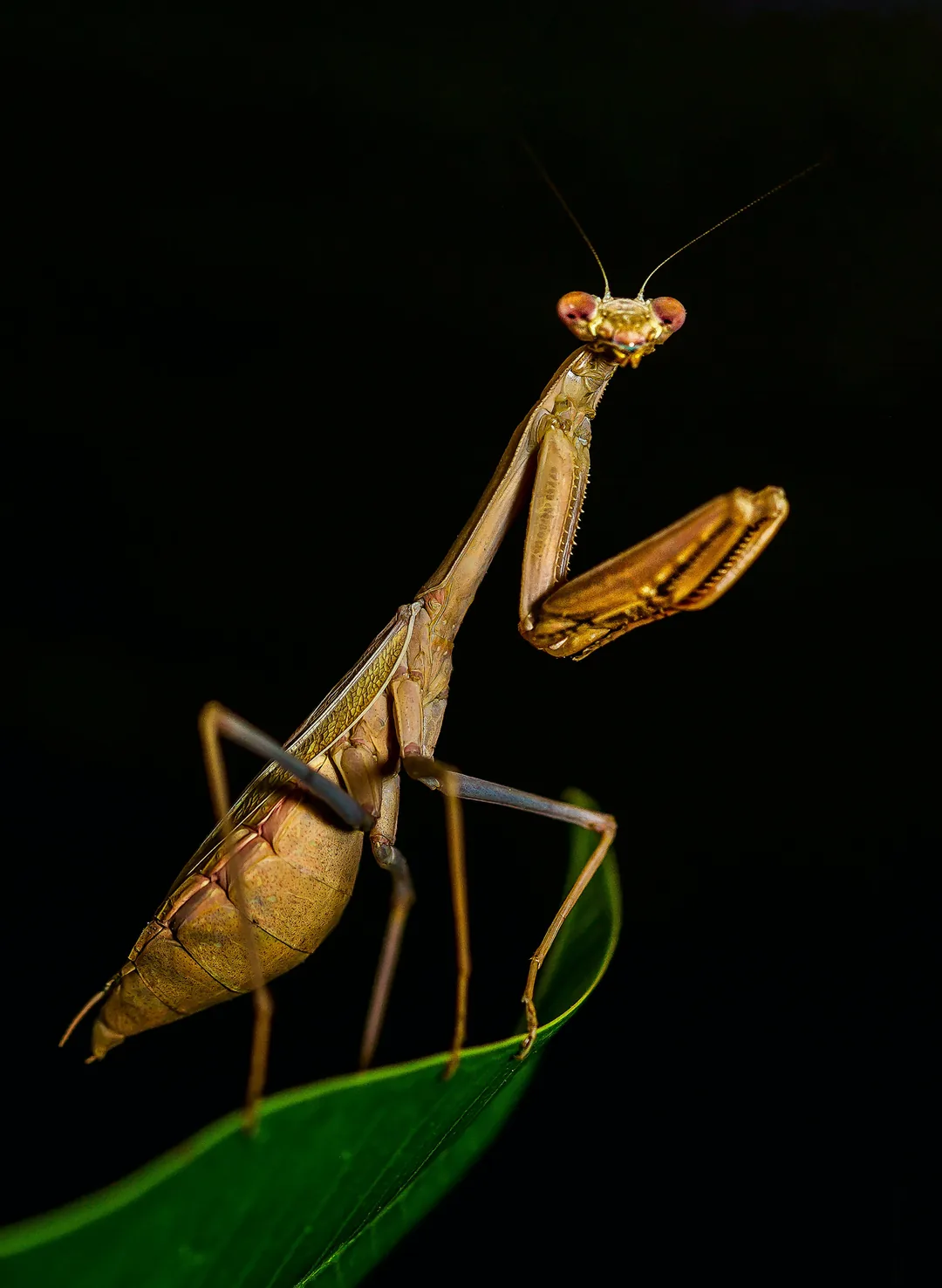 Organisez votre visite